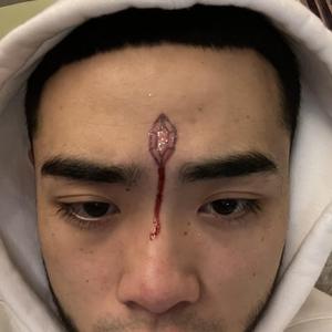 中国女人与公狗1级黄色大片日本女人与狗性交黄色大片视频
